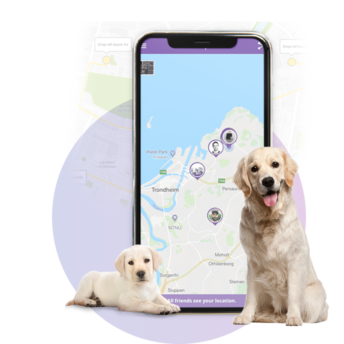 dog-walking-app-development-dubai 